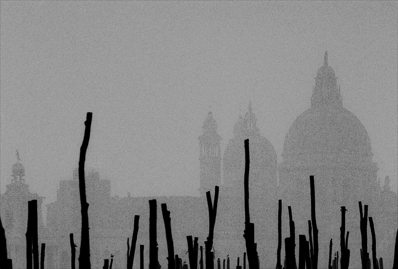 Academia, Venice