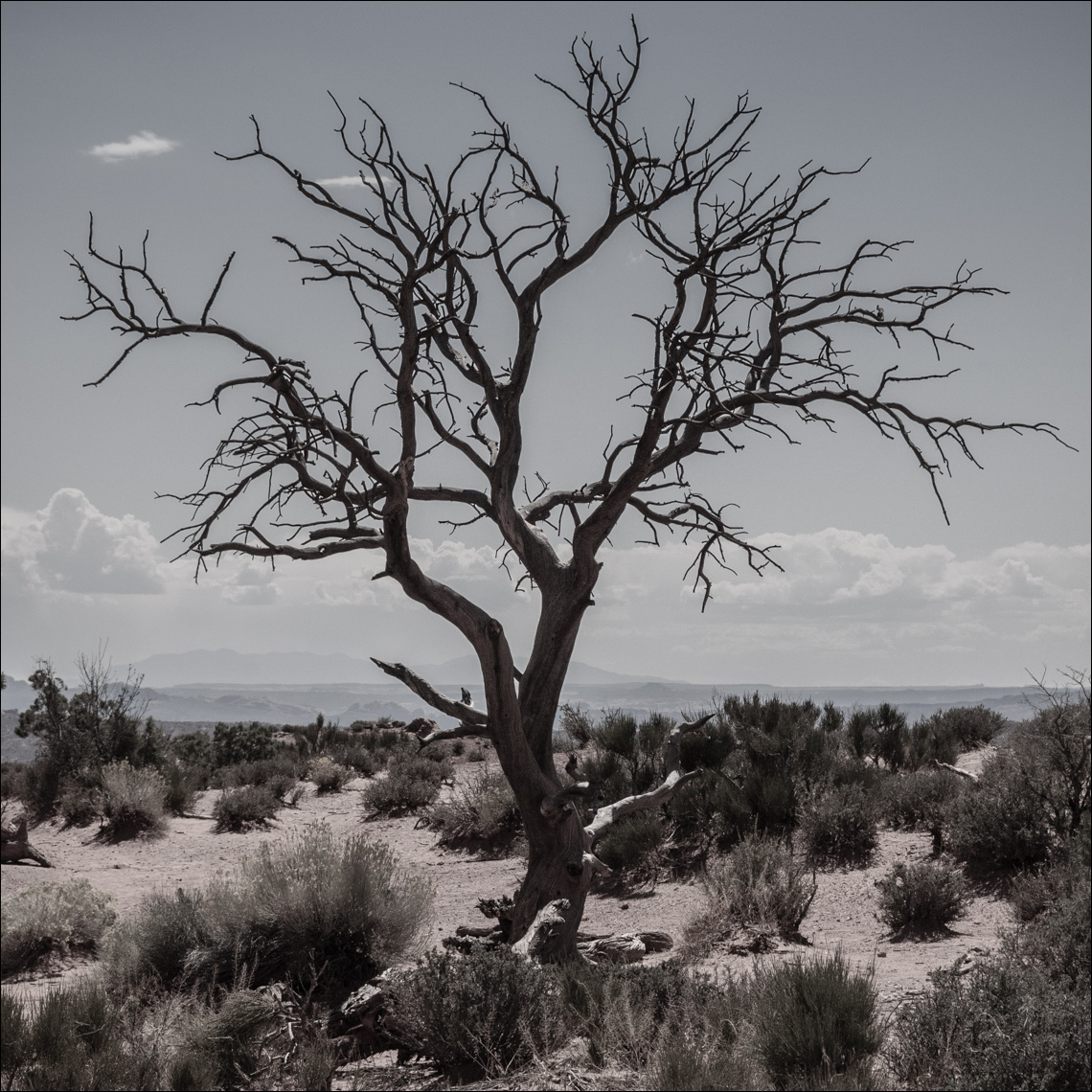 Arches National Park