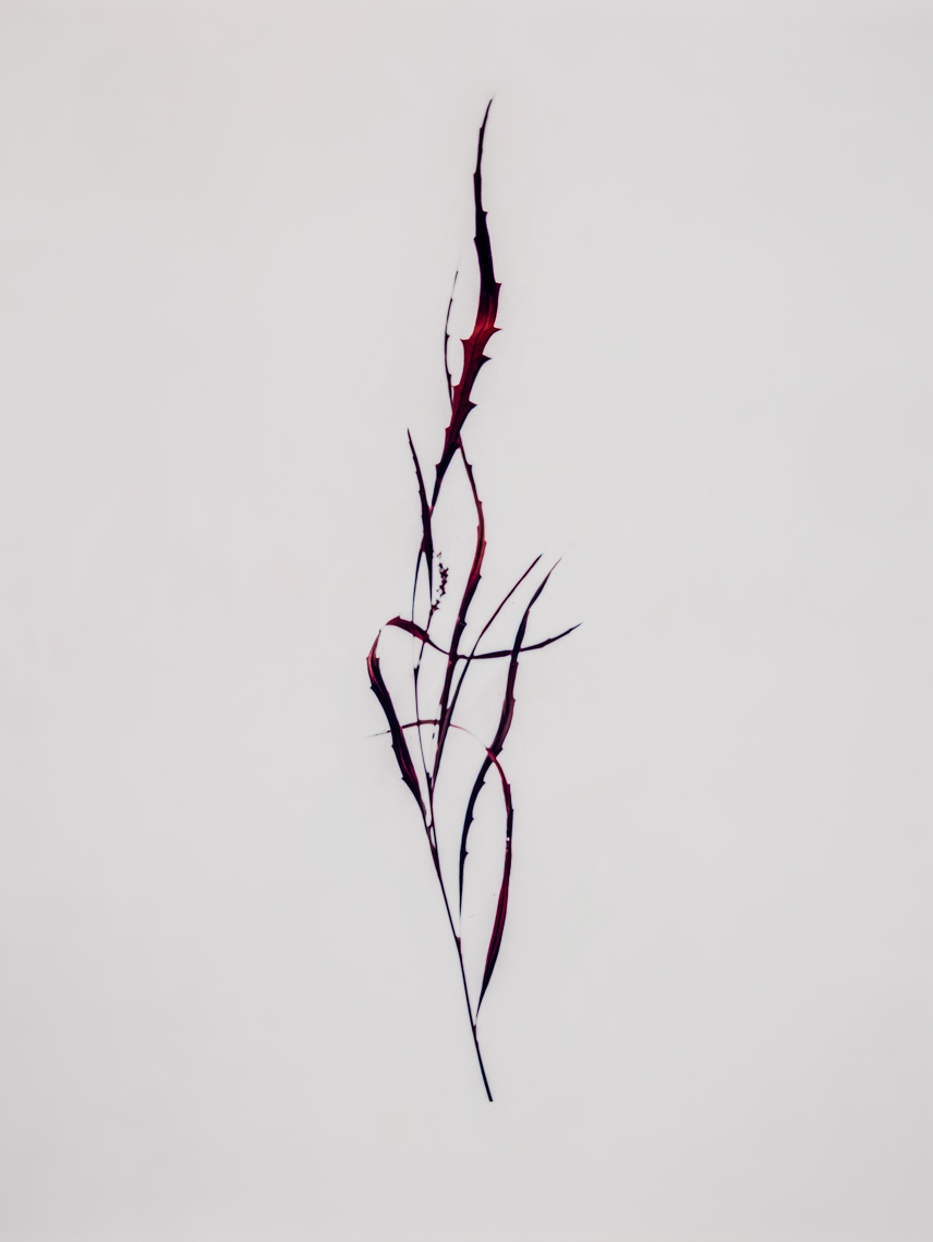 Red Plant