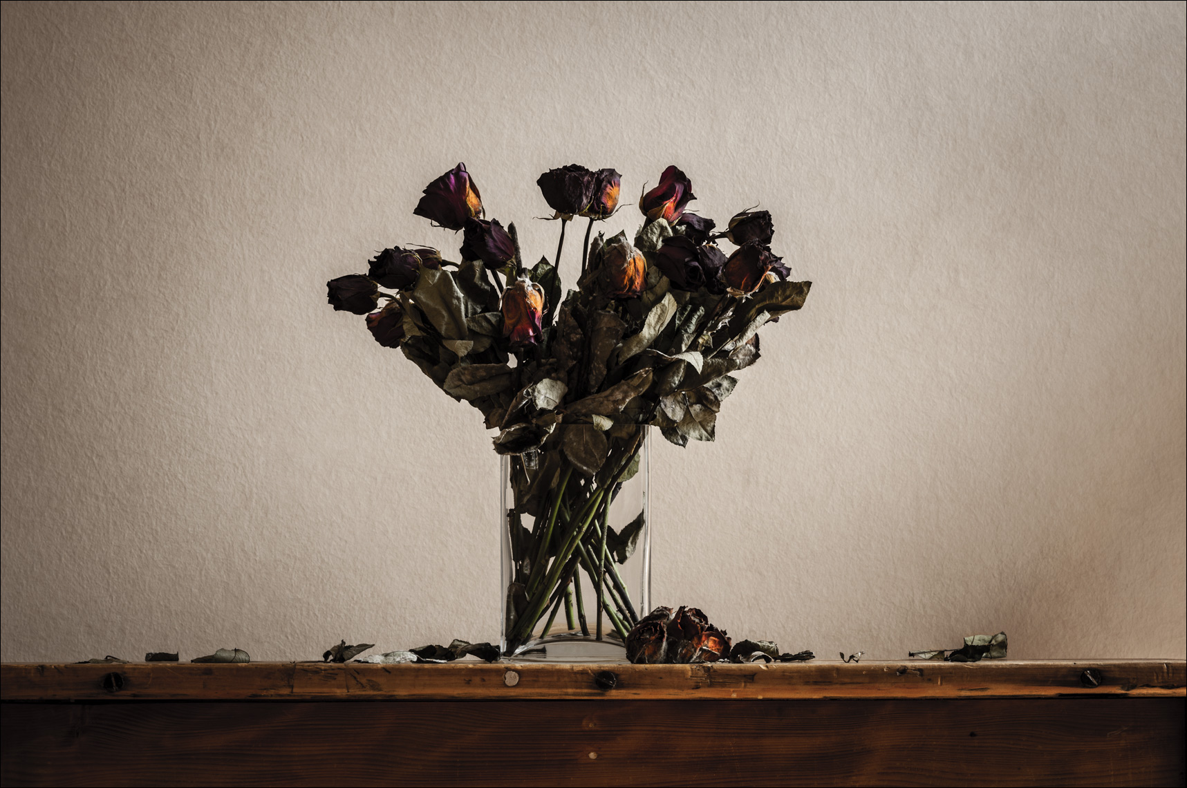 Dead Flowers