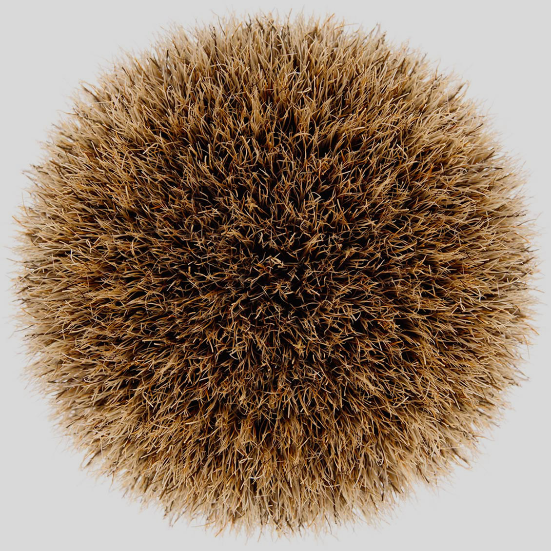 Shaving Brush